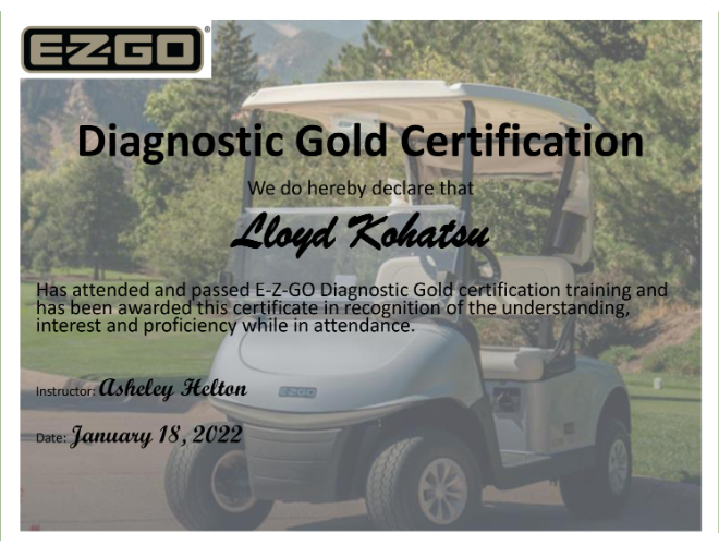 Service Department VIP Golf Car Sales Center Walnut Creek California